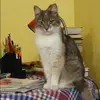 Отзыв от Наталия Туманова